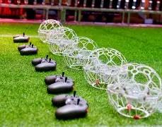 韦德谈粉丝,篮球情结,有人因打球,大发彩票,互动竞猜平台,大发娱乐,预测挑战,大发彩票APP下载