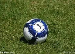 全明星阵容,震撼亮相,冬奥,大发彩票,互动竞猜平台,大发娱乐,预测挑战,大发彩票APP下载