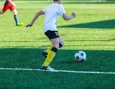 解码东巴智,期双色球奇,规揭秘,大发彩票,互动竞猜平台,大发娱乐,预测挑战,大发彩票APP下载