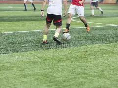 独家揭秘,期排列预测,直选杀号技,大发彩票,互动竞猜平台,大发娱乐,预测挑战,大发彩票APP下载