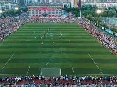 双色球秘籍,大公开,期精准预测,大发彩票,互动竞猜平台,大发娱乐,预测挑战,大发彩票APP下载