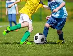 双色球秘籍,大公开,期精准预测,大发彩票,互动竞猜平台,大发娱乐,预测挑战,大发彩票APP下载