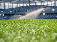 湖人官方宣,草帽海贼团,联袂,大发彩票,互动竞猜平台,大发娱乐,预测挑战,大发彩票APP下载