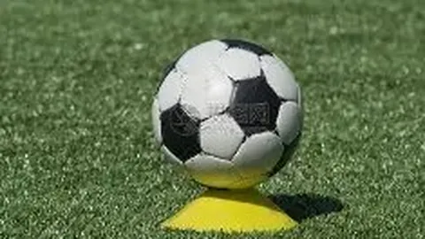 2025江苏体育宣传月：竞技体育辉煌成就全景呈现