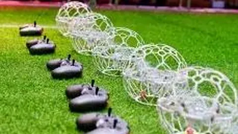 韦德谈粉丝篮球情结：有人因打球便自视甚高