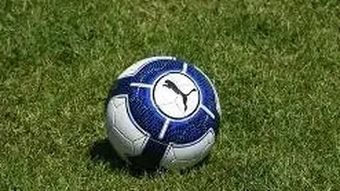 “札幌冈萨对决大宫松鼠：足球赛变动物园奇观！”